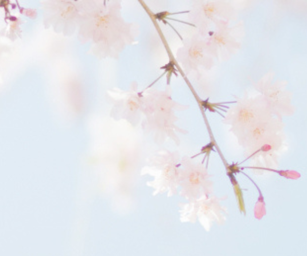 Sylvane's Top 10 Spring Cleaning Tips for 2025