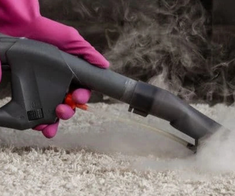 5 Best Steam Cleaners of 2025