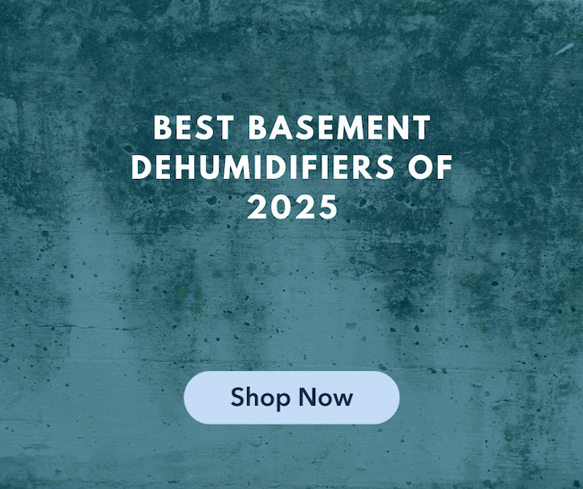 Best Basement Dehumidifiers of 2025