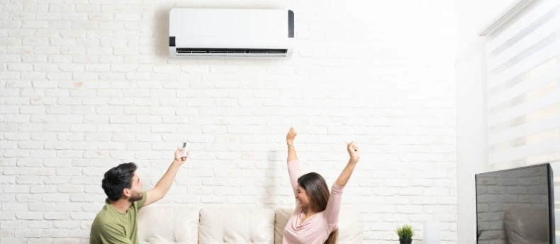 Why are Mini-Split Systems So Popular?