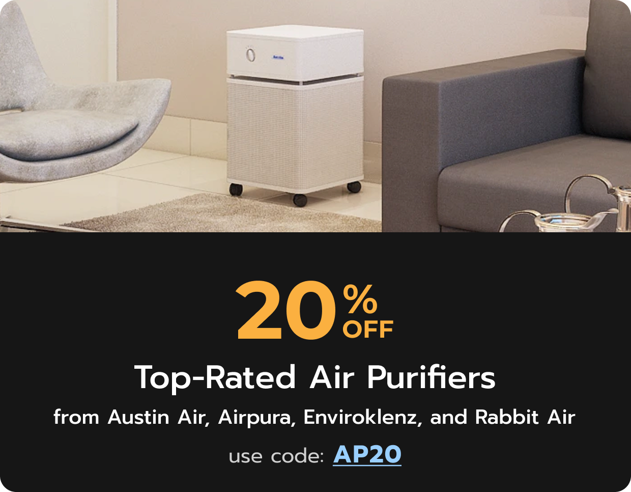 Top Air Purifiers