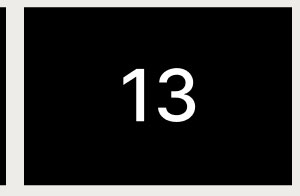 13