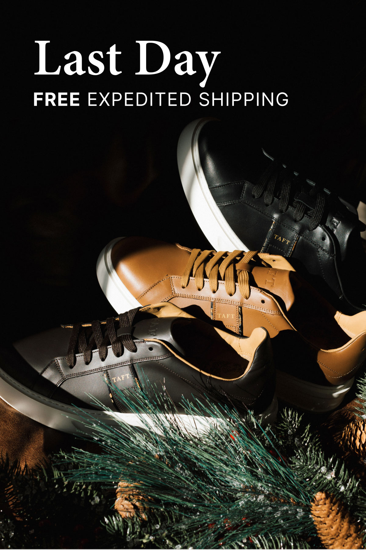 Last Day Free Expedited Shipping