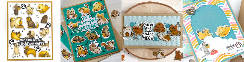 Dog & Cat Inspo
