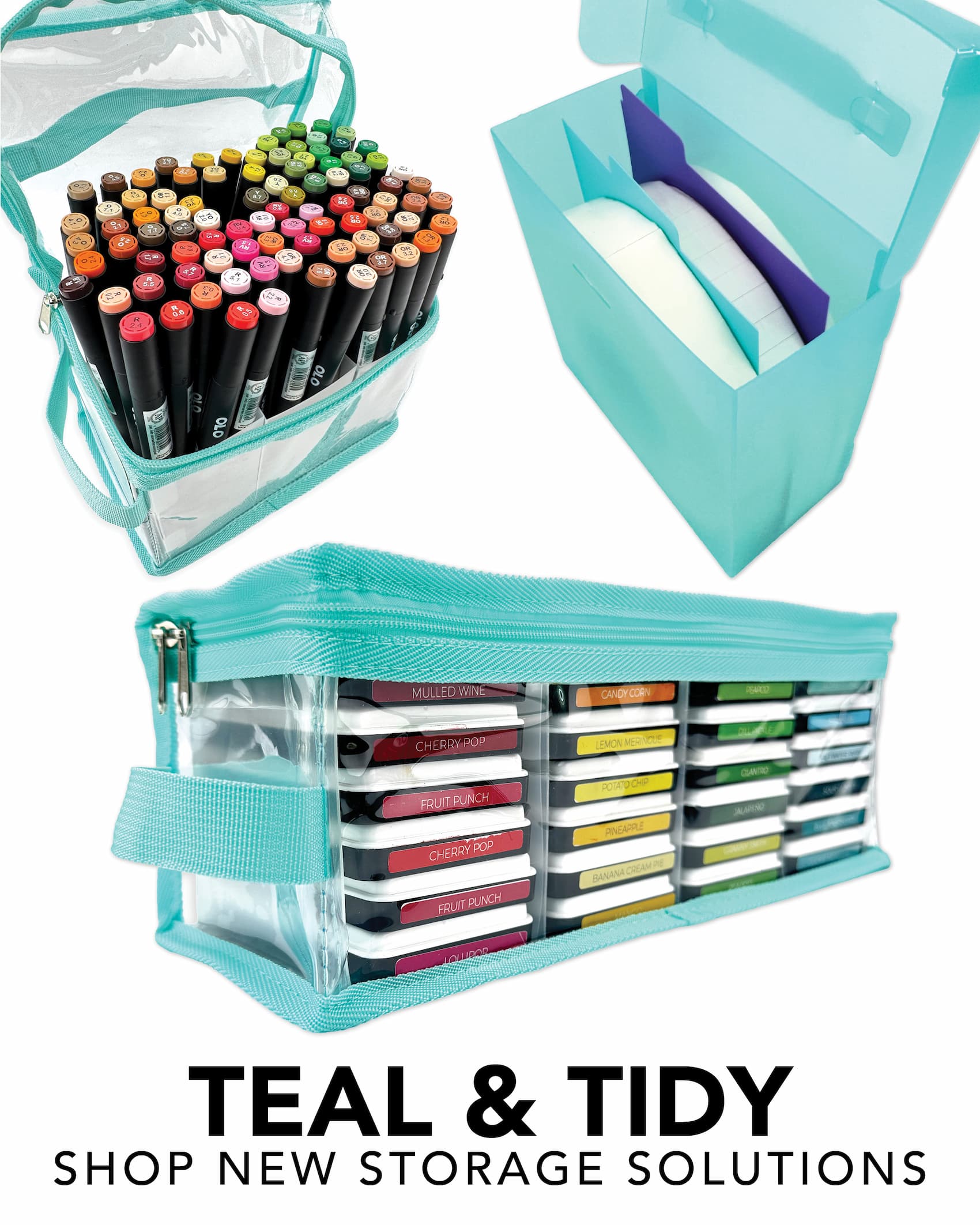 Tal & Tidy
