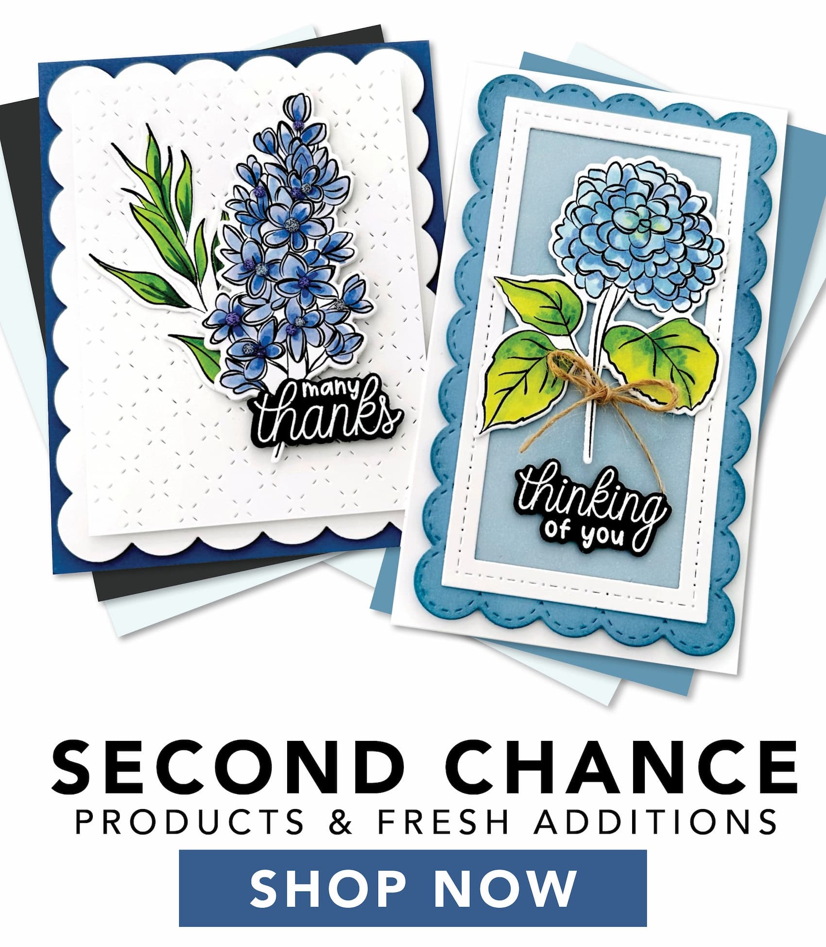 Second Chance