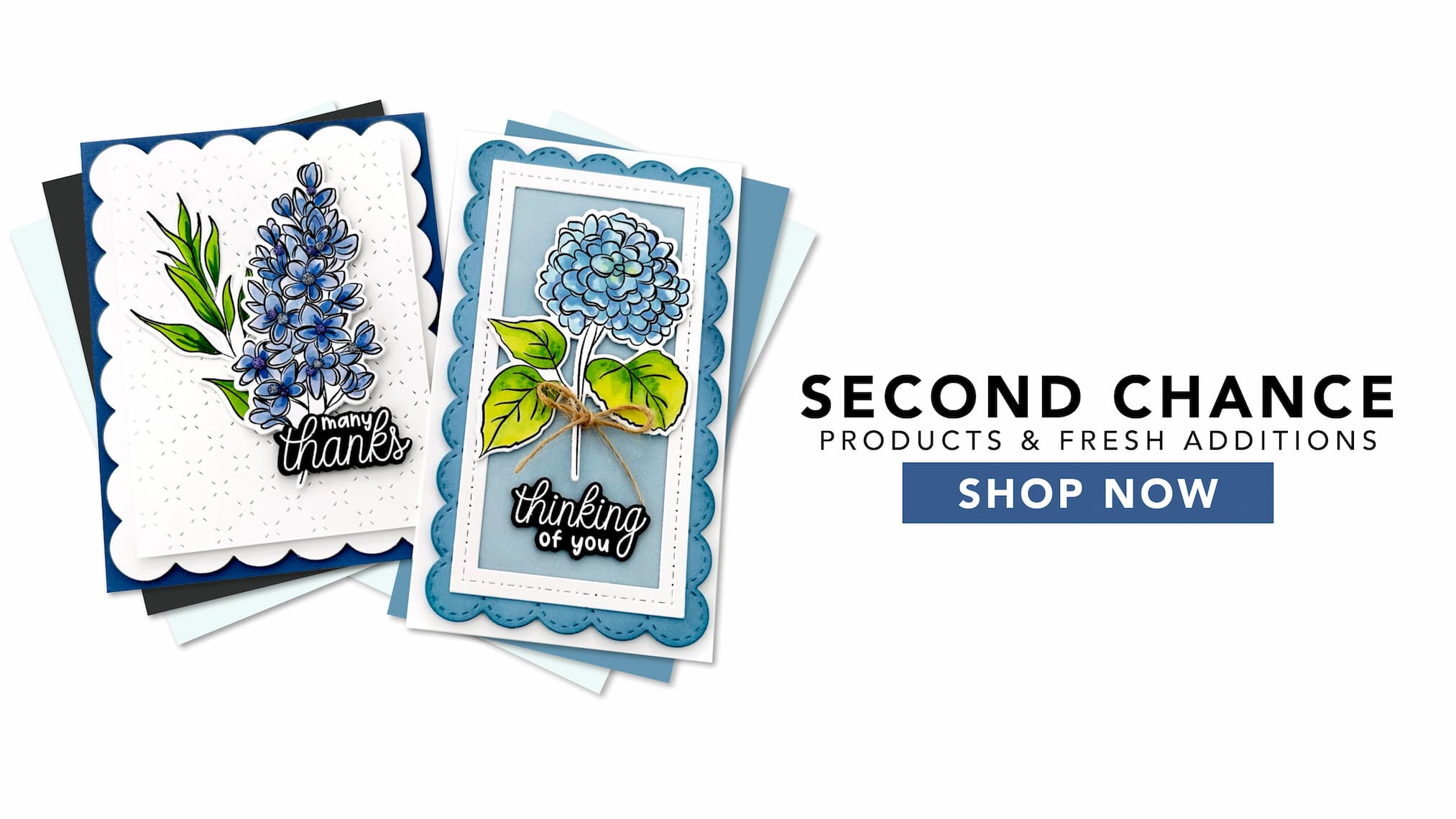Shop Second Chance