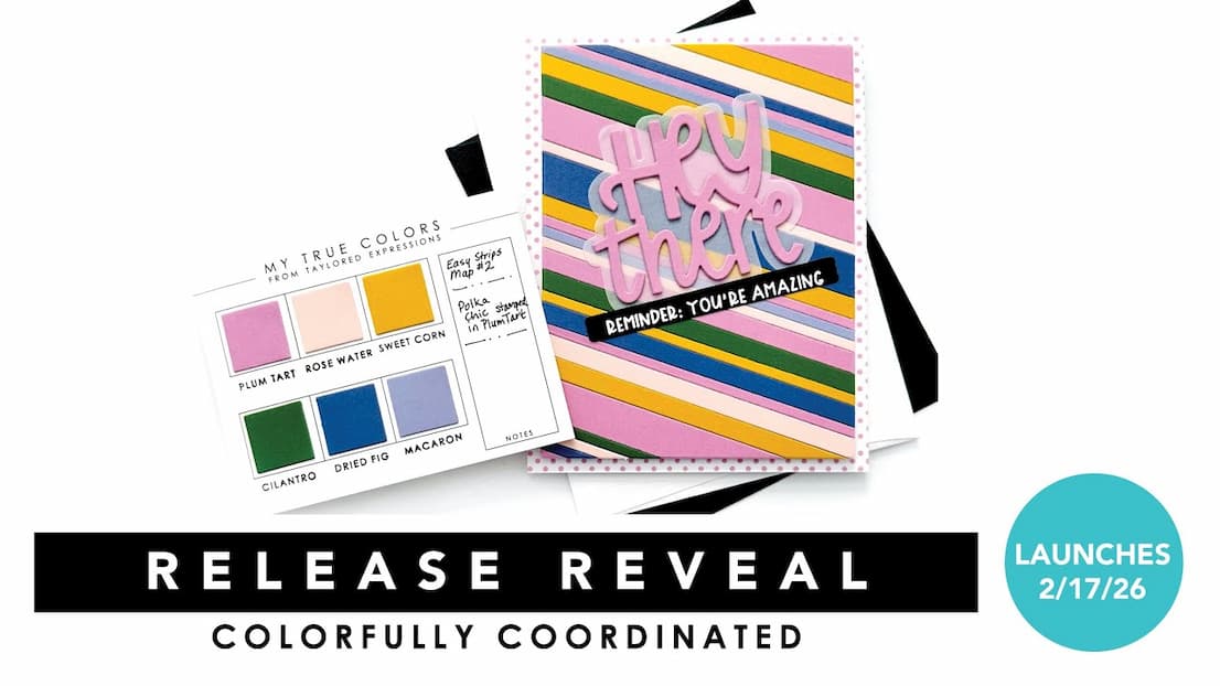 Release Reveal Video