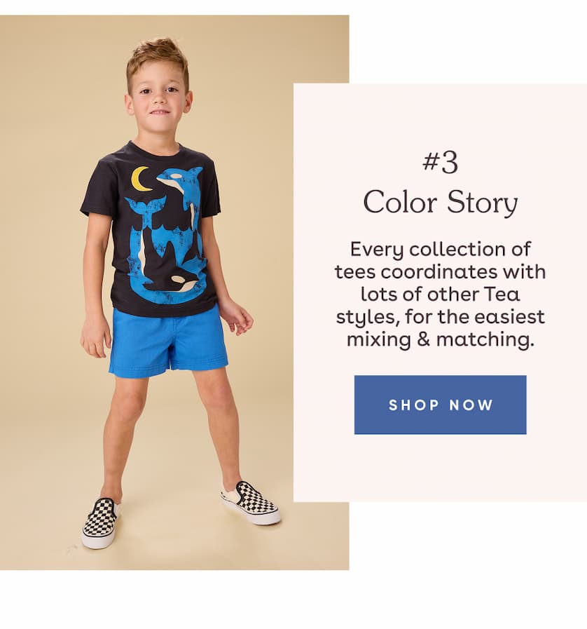 Color Story