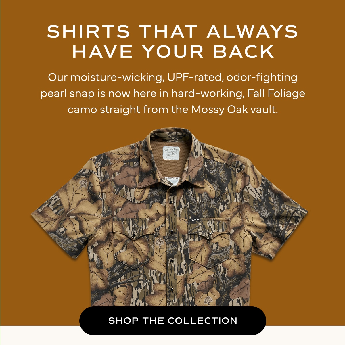 Shirts