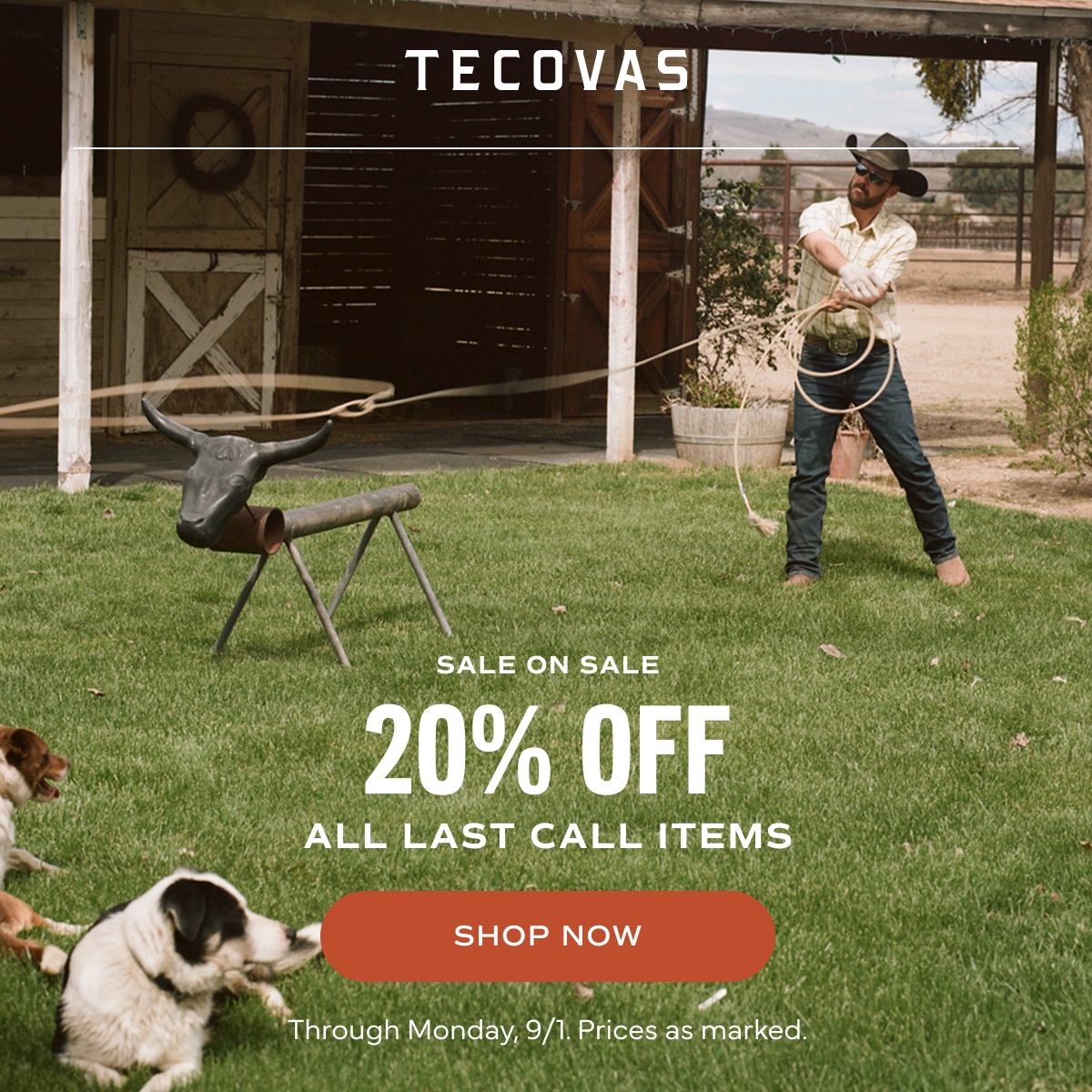 Shop Now