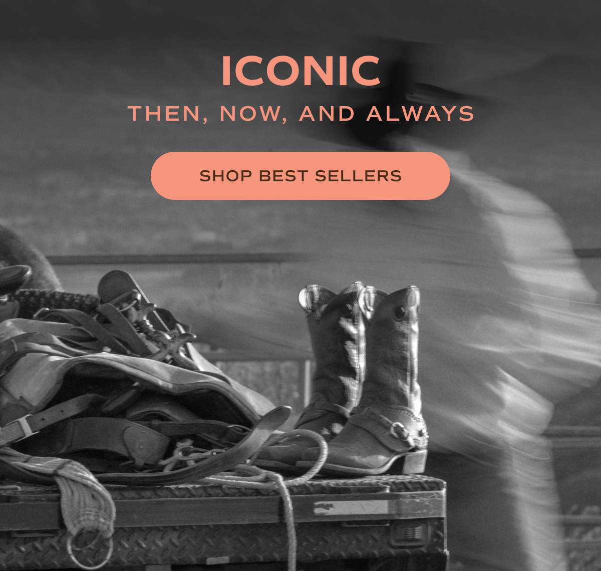 Shop Best Sellers 