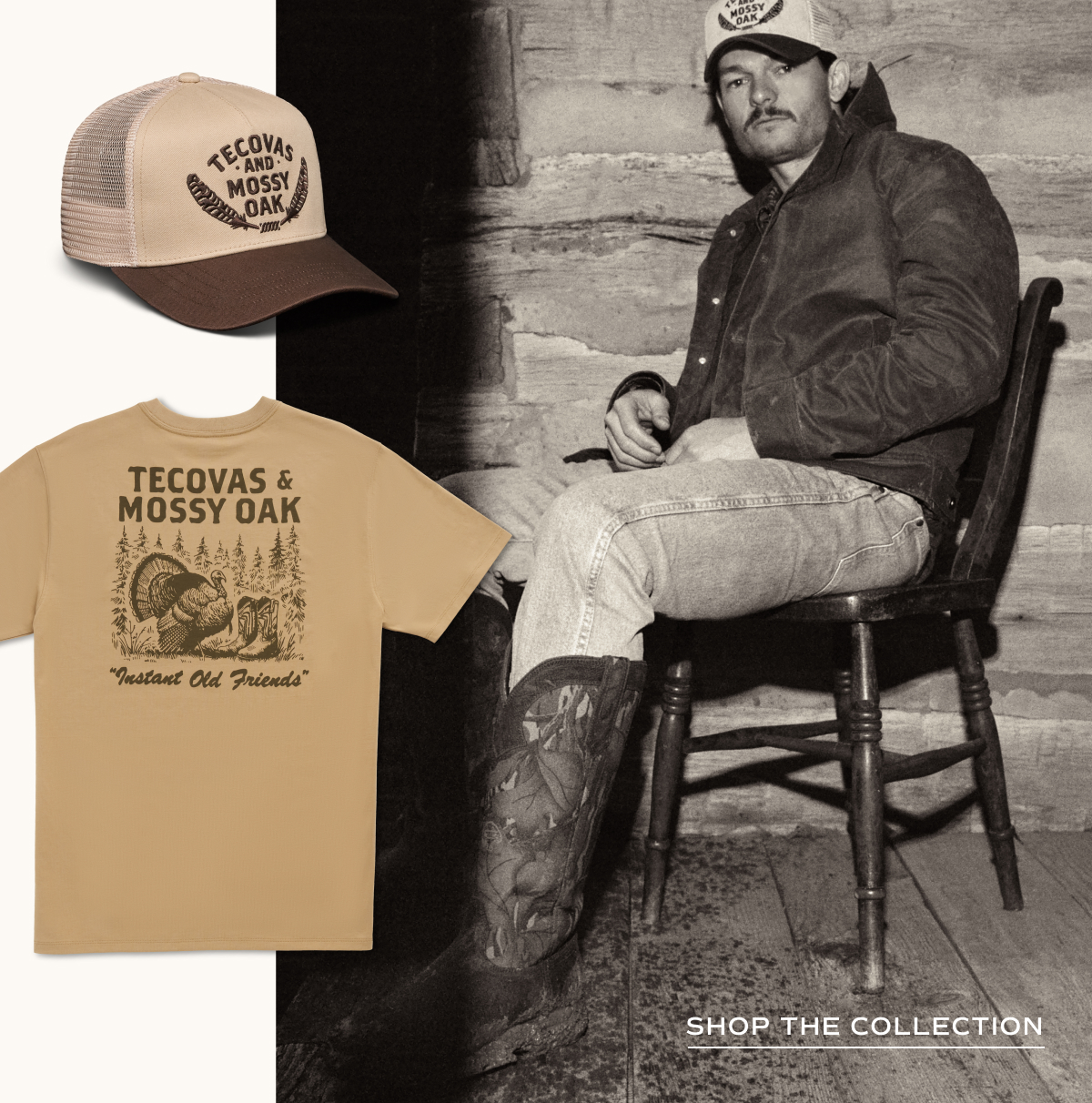 Shop the Collection 