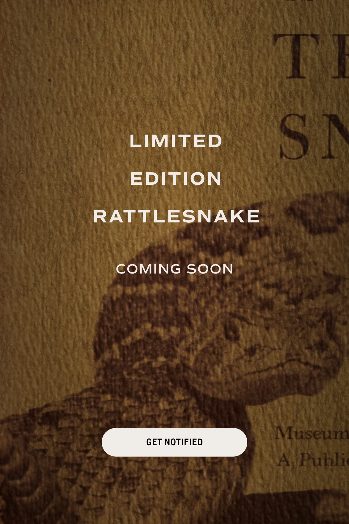 Get Notified 