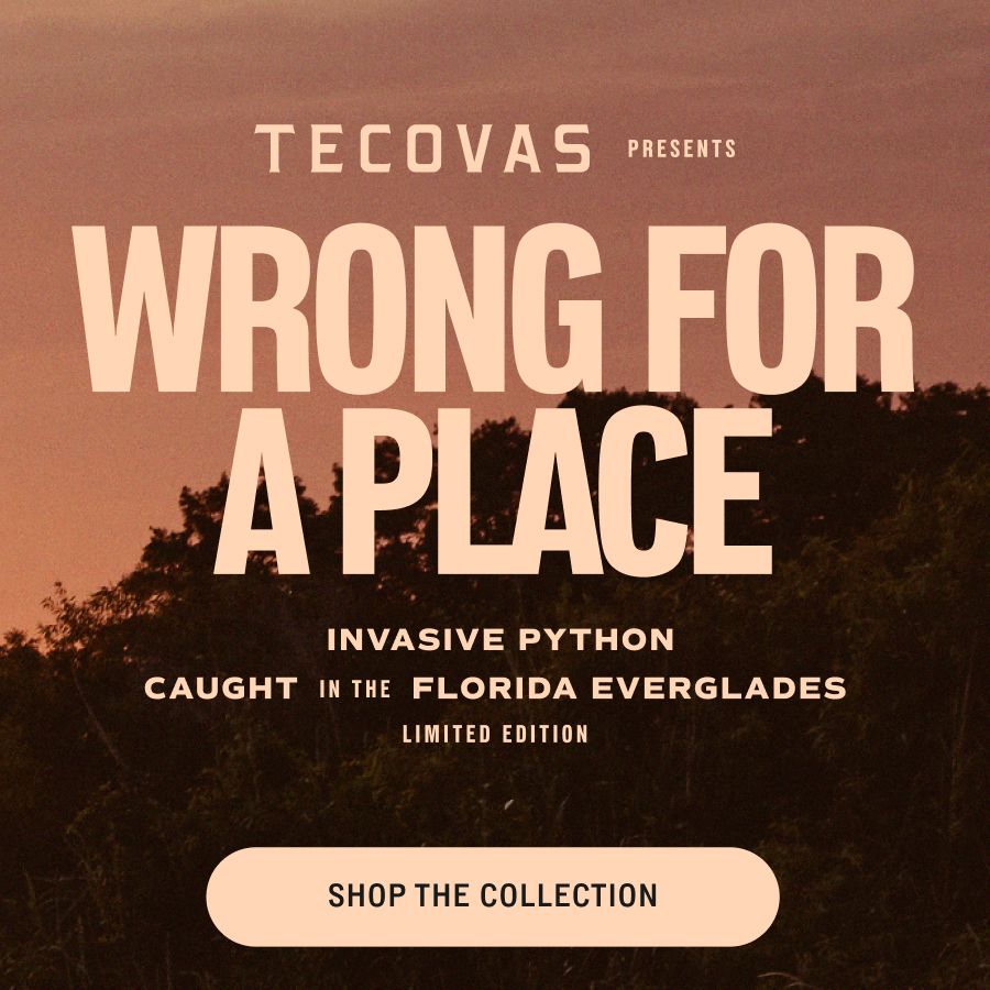 Shop the Collection 