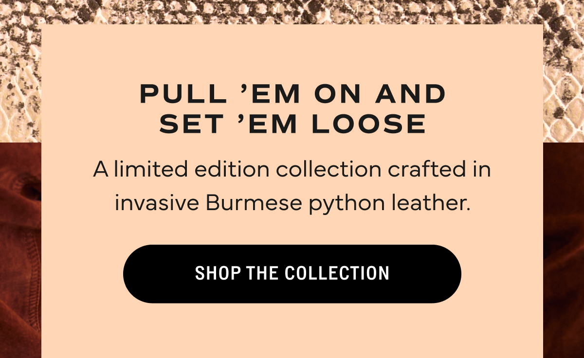 Shop the Collection 