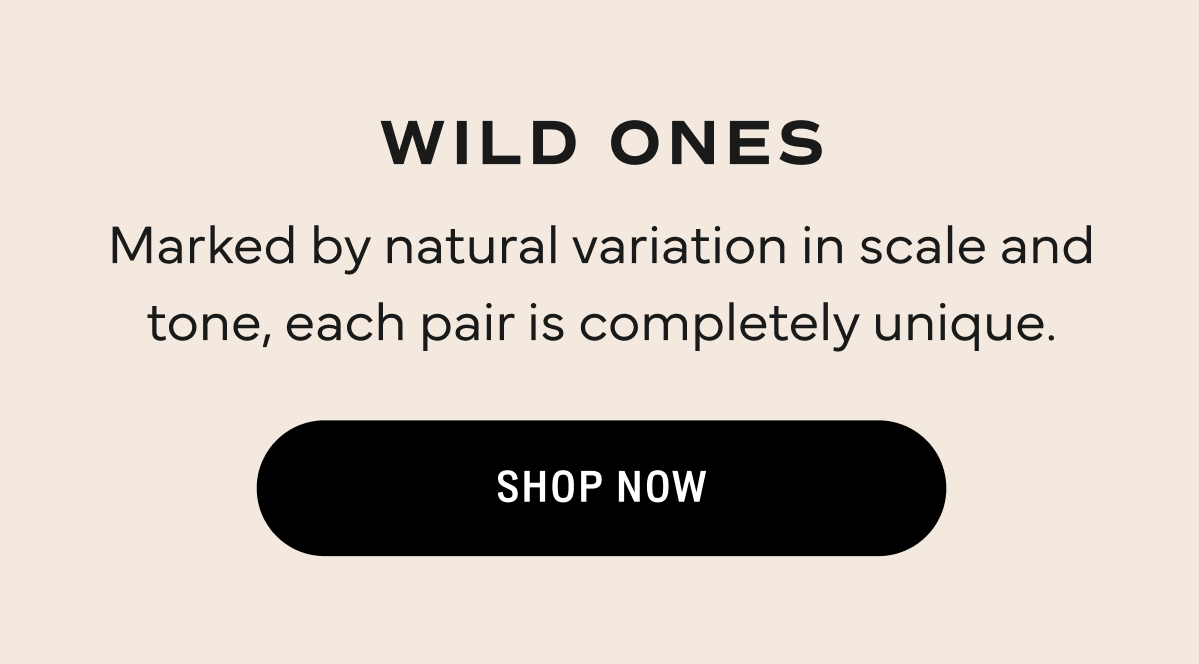 Shop the Collection 