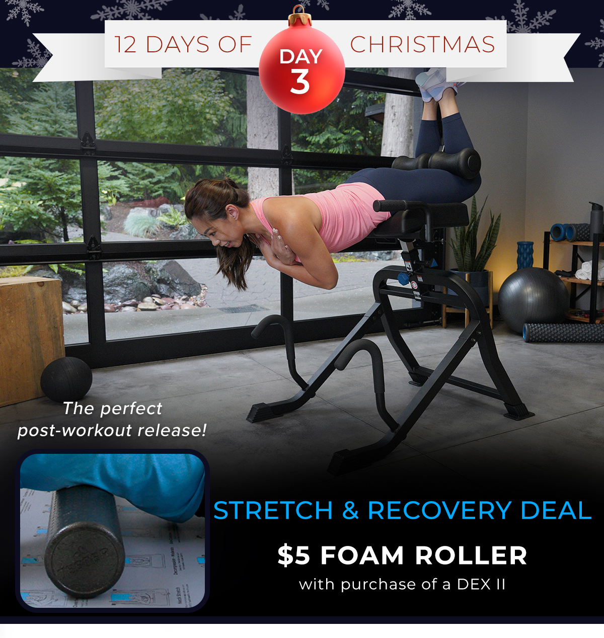 Buy a DEX II, get Foam Roller for $5