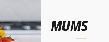 MUMS