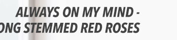 Always on My Mind - Long Stemmed Red Roses
