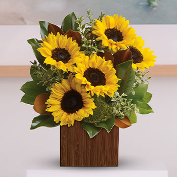 SHINE ON SUNFLOWERS