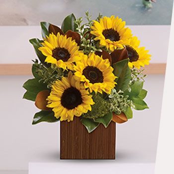 SHINE ON SUNFLOWERS