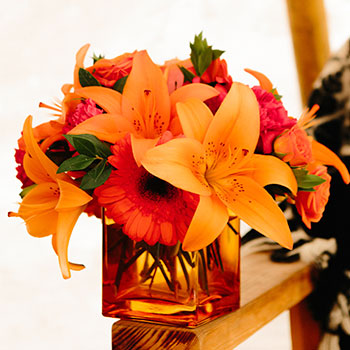 GIVE THANKS,<br>SEND LOVE