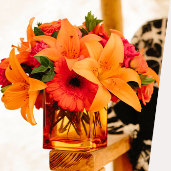 GIVE THANKS,<br>SEND LOVE