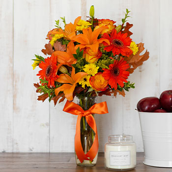 FIND FALL FAVORITES