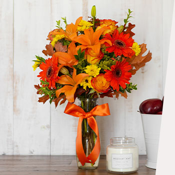 FIND FALL FAVORITES