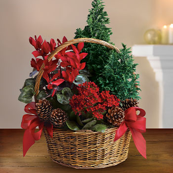 GIVE A CHEERY<br>GIFT BASKET