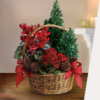 GIVE A CHEERY<br>GIFT BASKET
