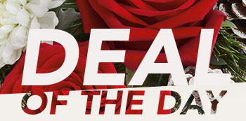 DEAL OF THE DAY