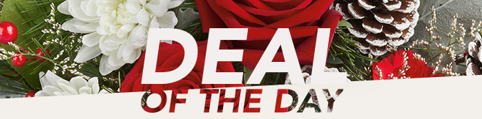 DEAL OF THE DAY