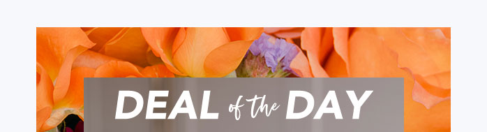 DEAL OF THE DAY