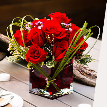 SEND YOUR LOVE TODAY