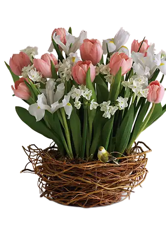 Spring Favorites