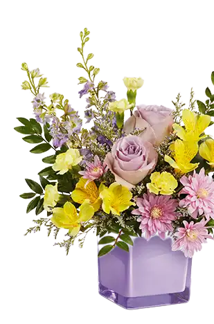 Teleflora’s Daisy Dreams Bouquet