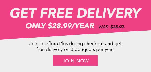 Teleflora Plus