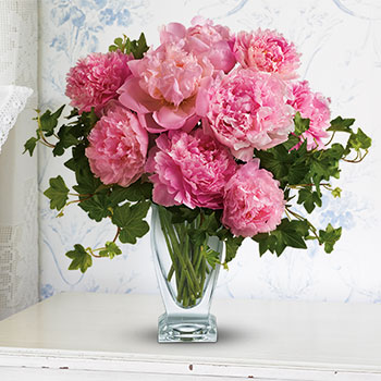 SHOP PRETTY PEONIES