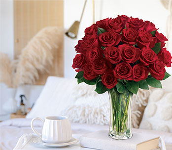 Love and Devotion - Long Stemmed Red Roses