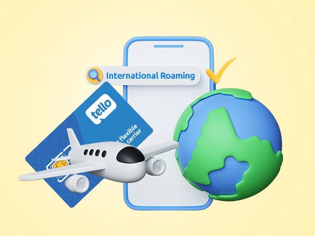 International roaming elements, a globe, a plane