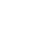 Custom