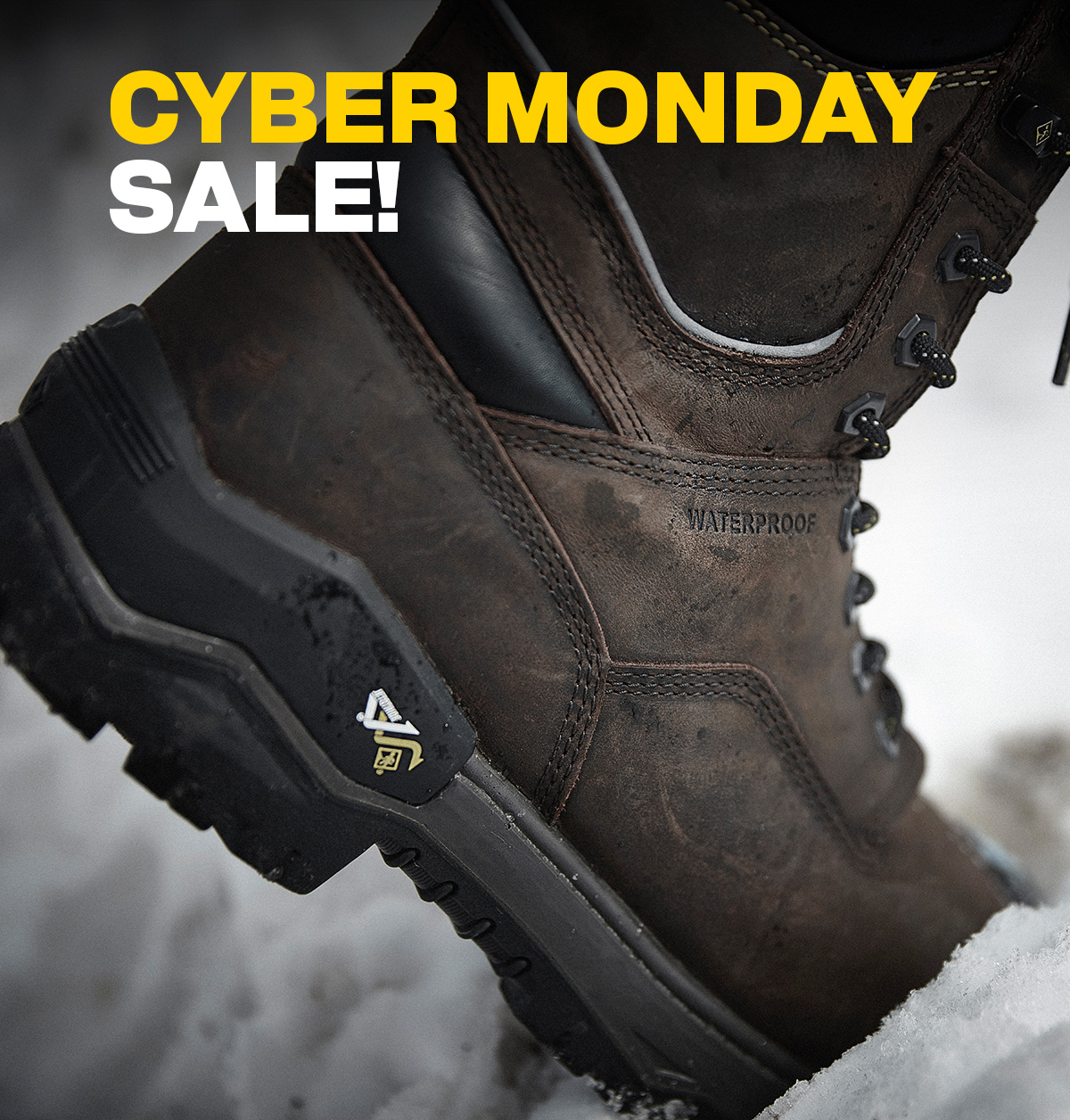 Cyber Monday Sale