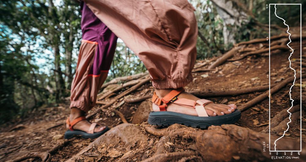 Women's Hurricane XLT3 Sandal in Sedona Multi