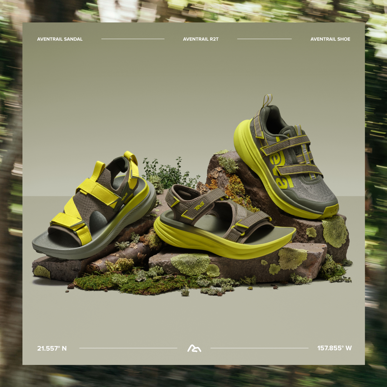 Aventrail Collection
