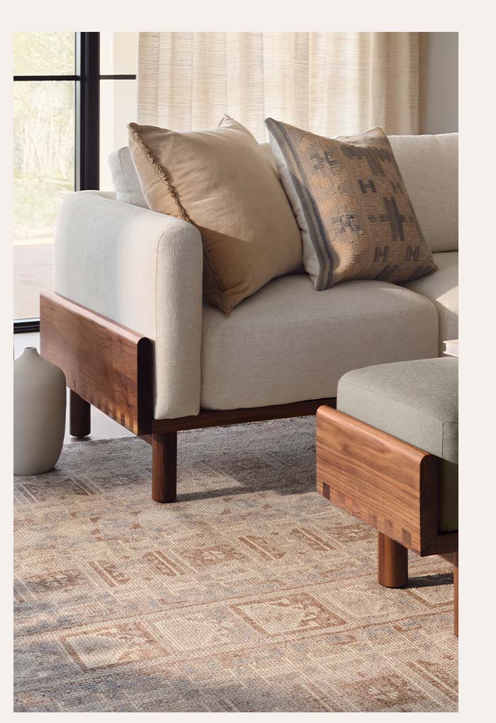 sarasi area rug