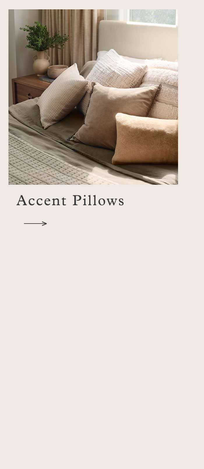 Throw Pillows