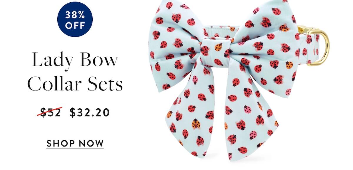 Shop sale lady bow collar sets