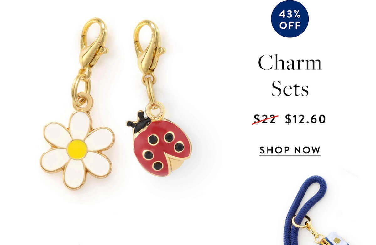 Shop sale charm sets